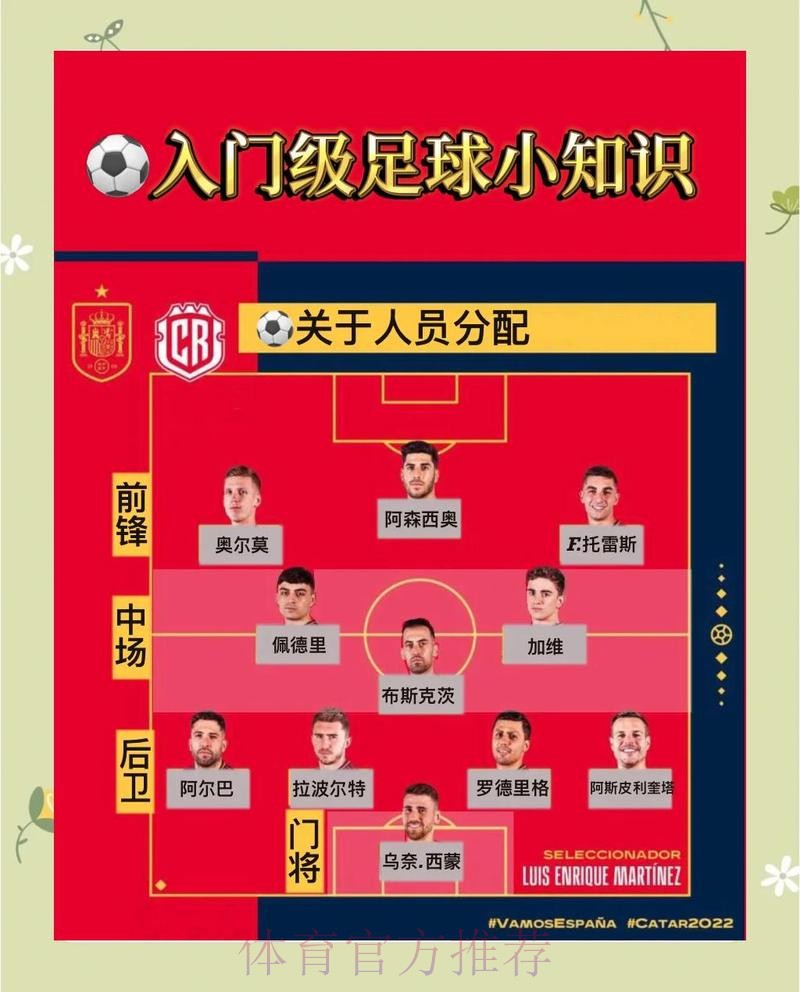 世界杯外围官网深度解析与最佳选项指南